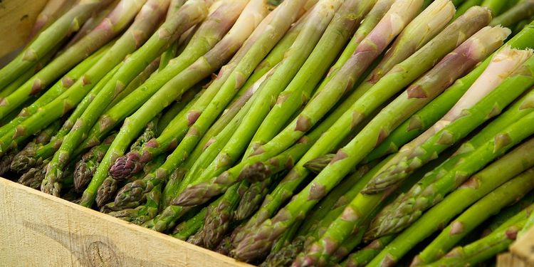 Photo of asparagus sticks in market