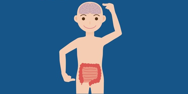 Illustration showing man pointing at the brain and at the gut with his hands