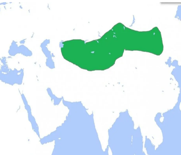 The Turkic Khaganate