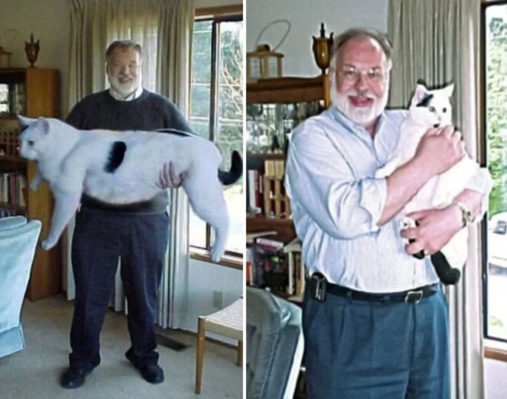 man holding fat cat