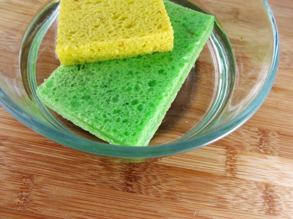 sponge in bowl