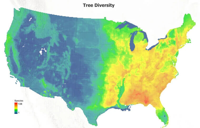 tree diversity map